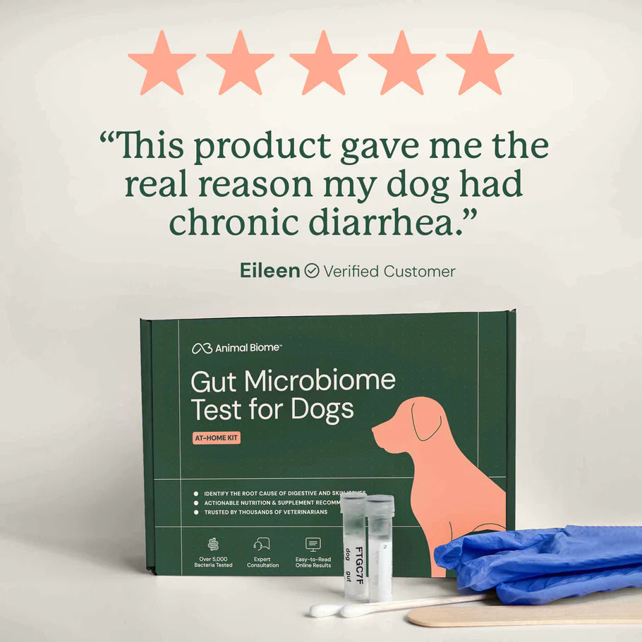 Animal Biome Gut Microbiome Test for Dogs