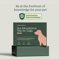 Animal Biome Gut Microbiome Test for Dogs