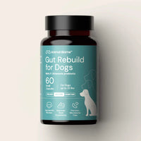 Animal Biome - Gut Rebuild for Dogs