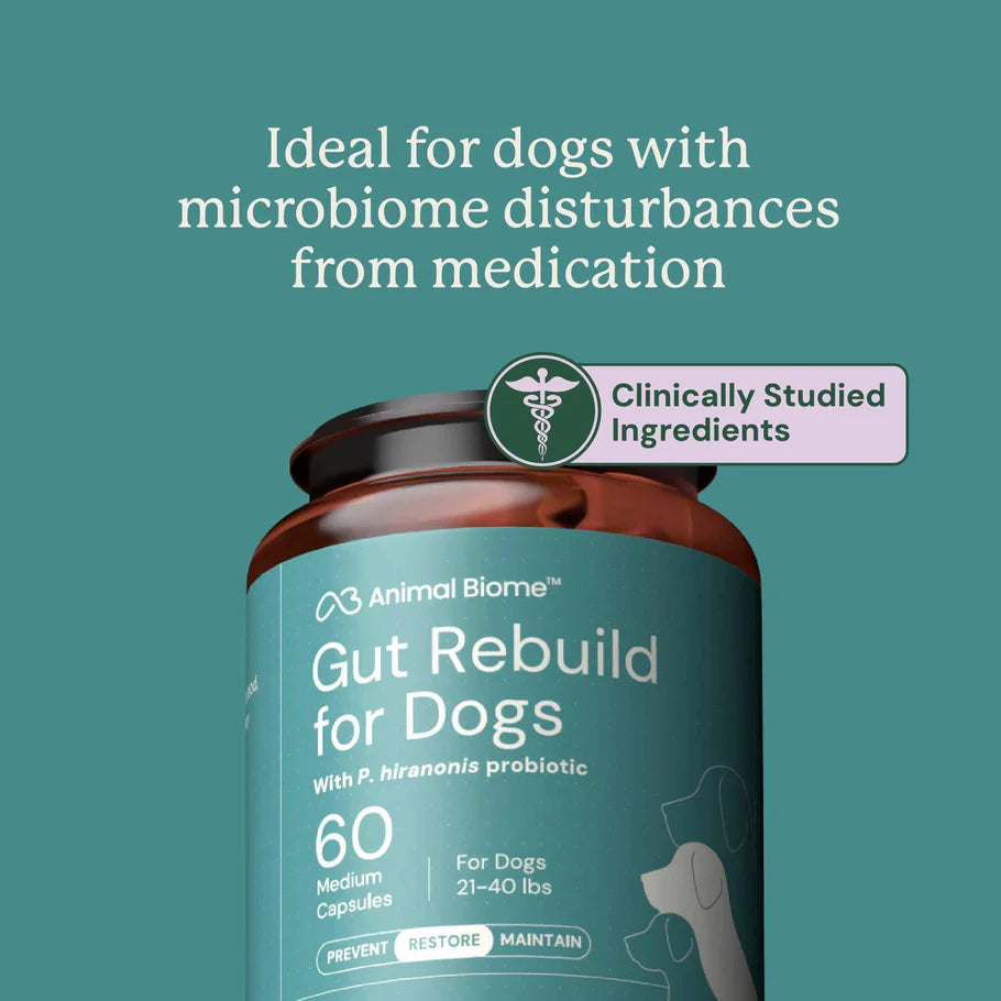 Animal Biome - Gut Rebuild for Dogs