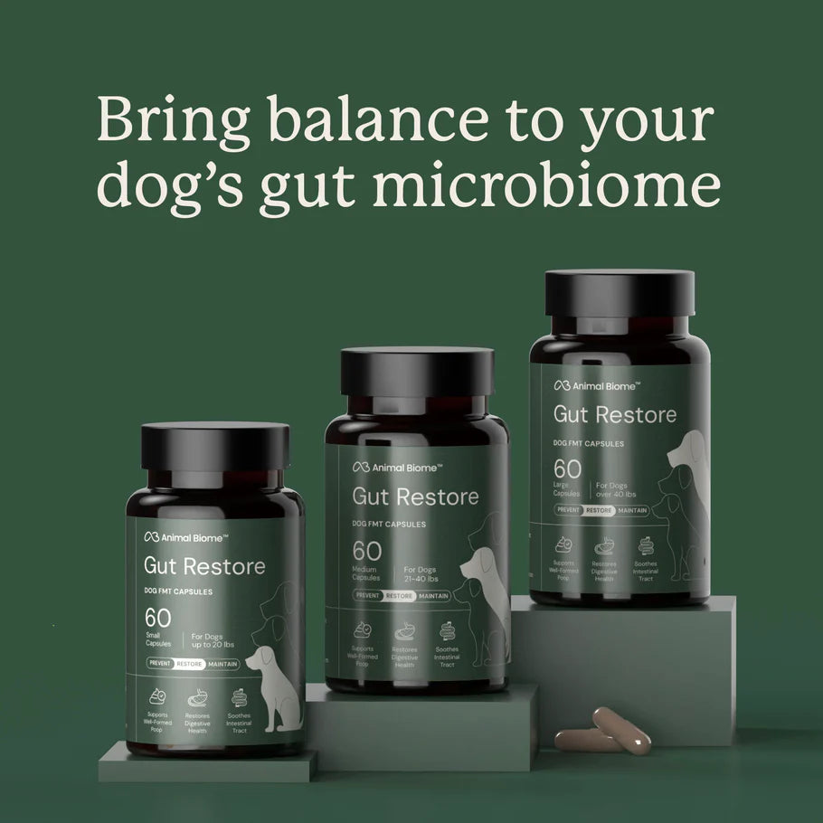 Animal Biome Gut Restore for Dogs