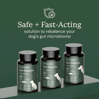 Animal Biome Gut Restore for Dogs