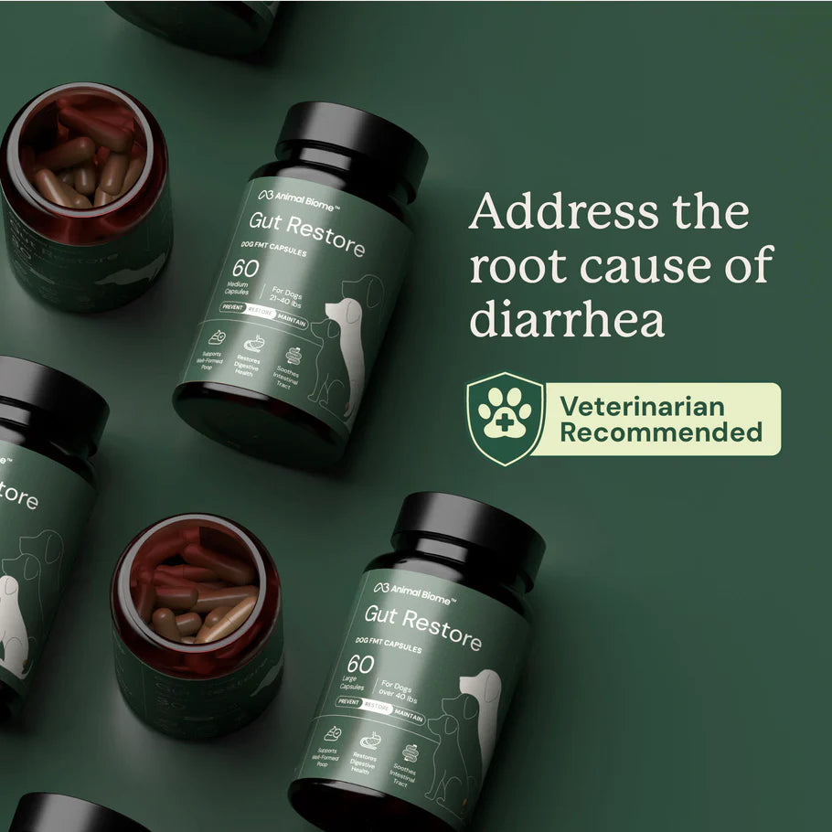 Animal Biome Gut Restore for Dogs