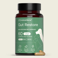 Bottle of Animal Biome Gut Restore raw-fed dog FMT capsules on a beige background