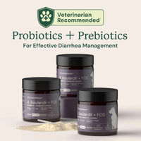 Jars of probiotics and prebiotics for effective diarrhea management with 'Veterinarian Recommended' label.