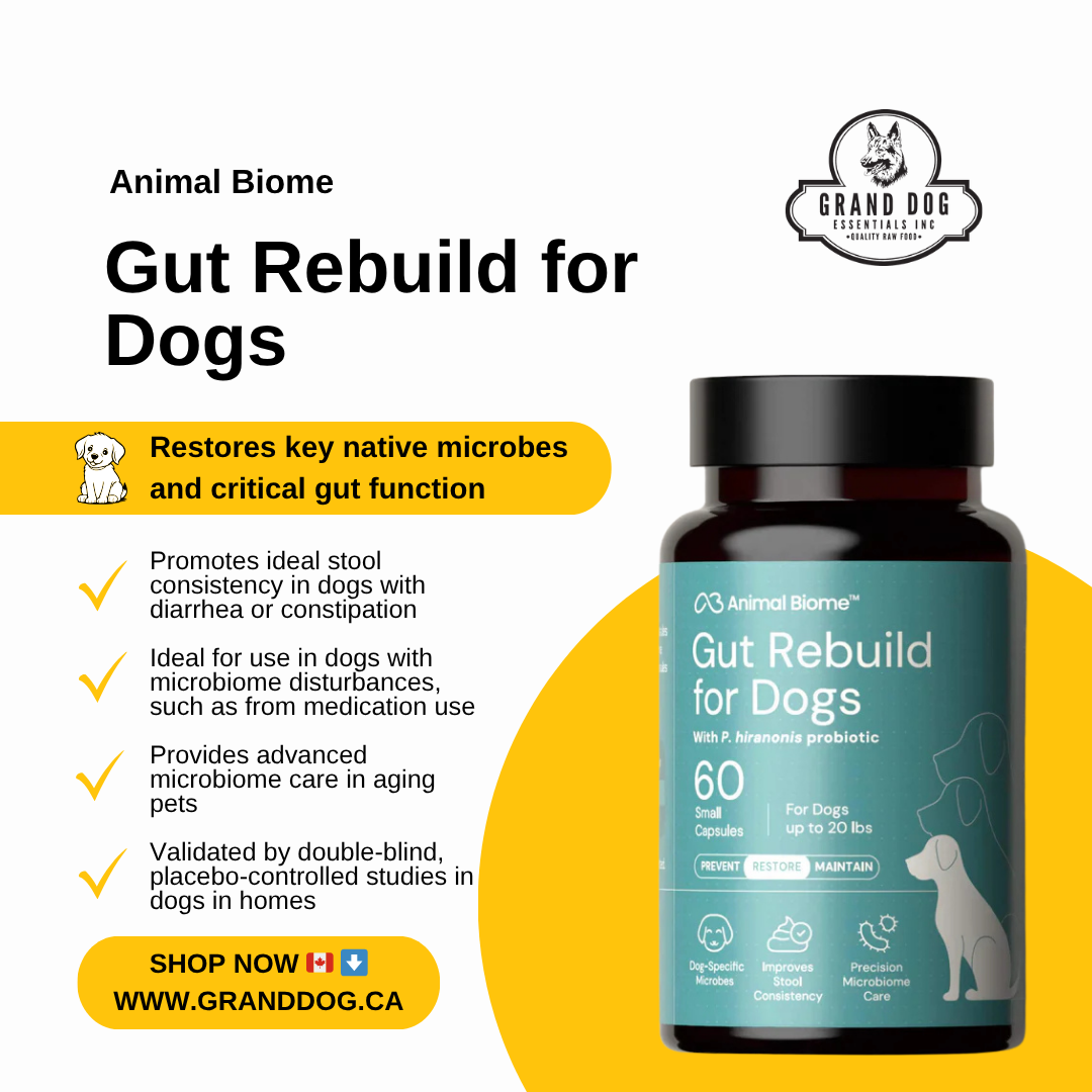 Animal Biome - Gut Rebuild for Dogs