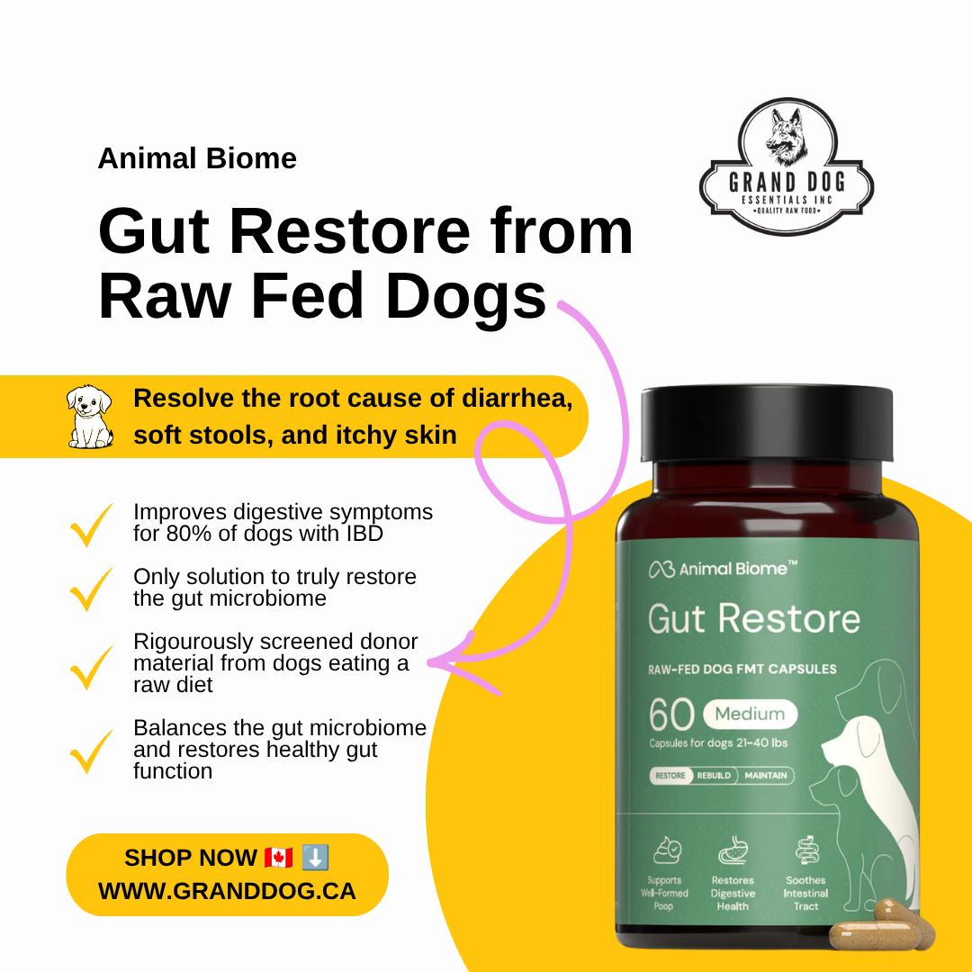 Advertisement for Animal Biome Gut Restore for raw fed dogs with a bottle of capsules on a white background.