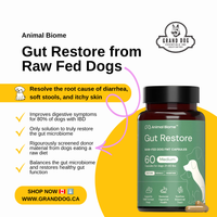 Advertisement for Animal Biome Gut Restore for raw fed dogs with a bottle of capsules on a white background.