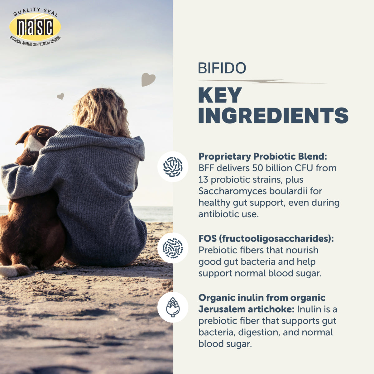Person and dog sitting on a beach with NASC logo and Bifido key ingredients text overlay.