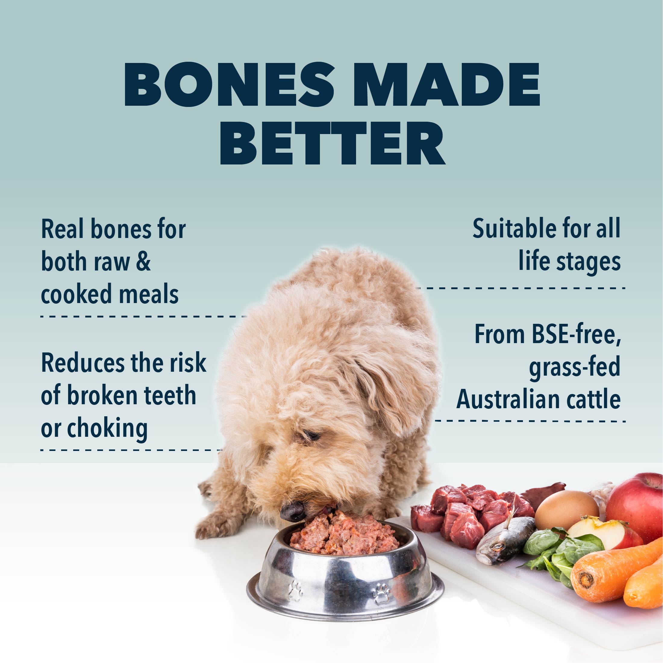 Dog food clearance bone