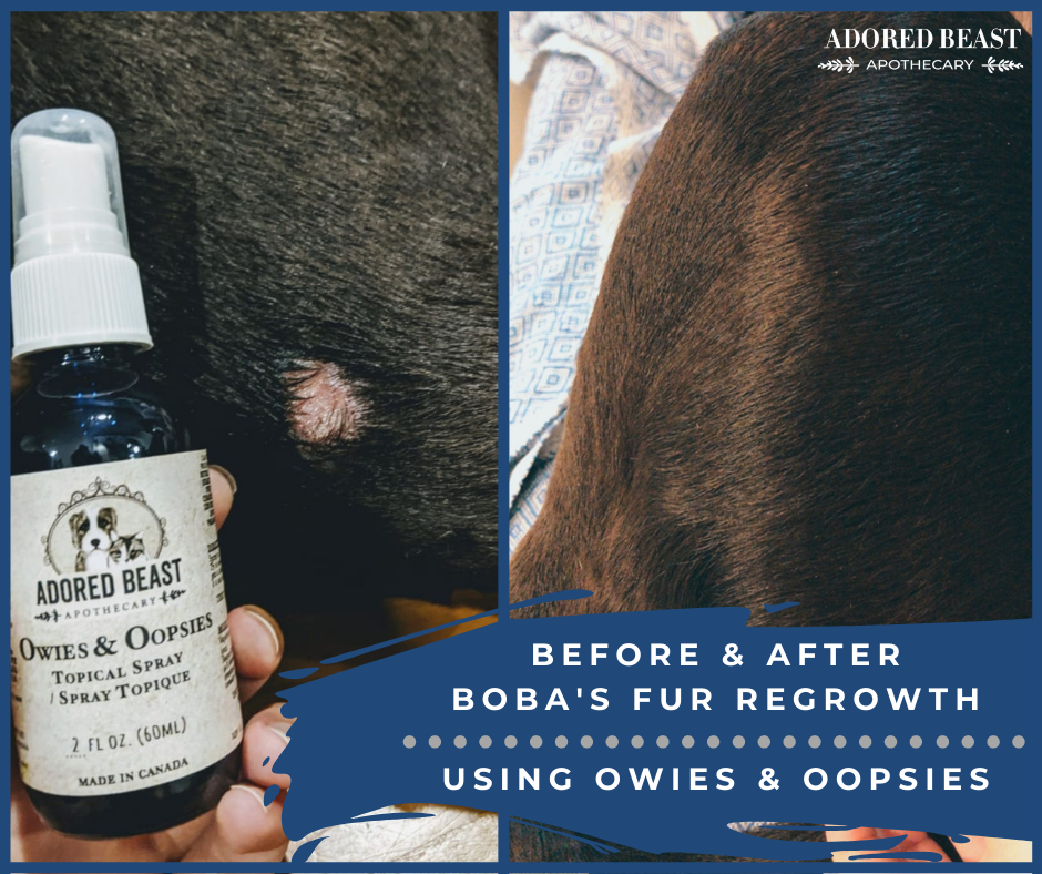 Adored Beast Apothecary Easy Peesy Protocol | Urinary Tract Function