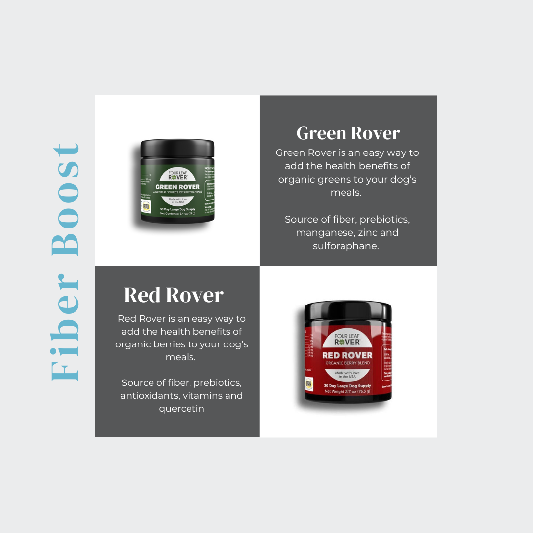 Increase fiber for dogs clearance