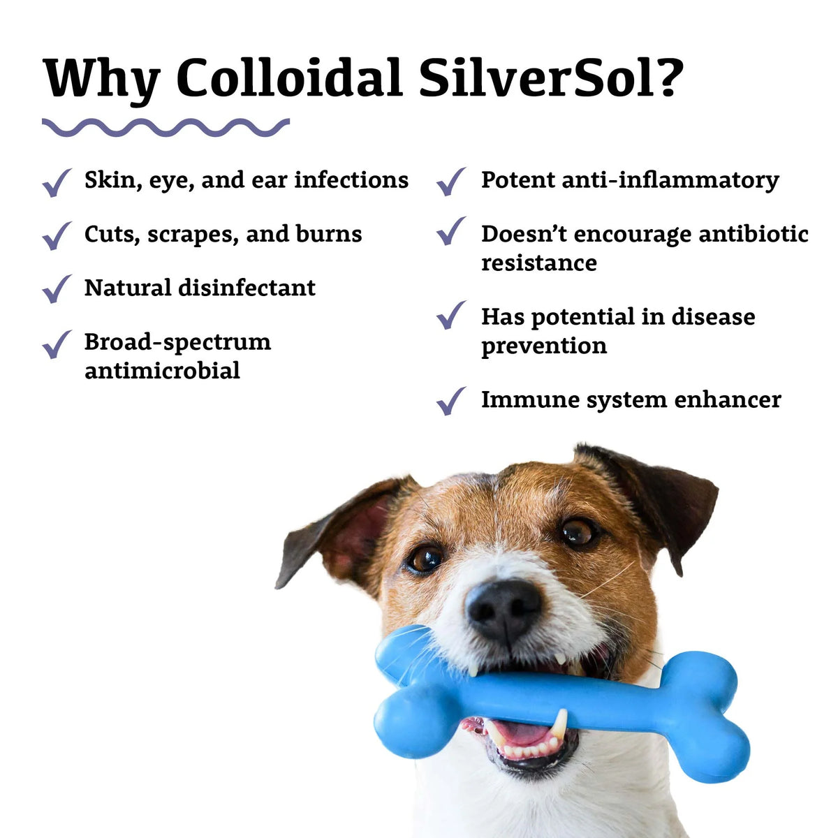 Adored Beast Colloidal Silver *MRET Activated