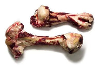 CK9 Beef Dino Bones - Sold Individually