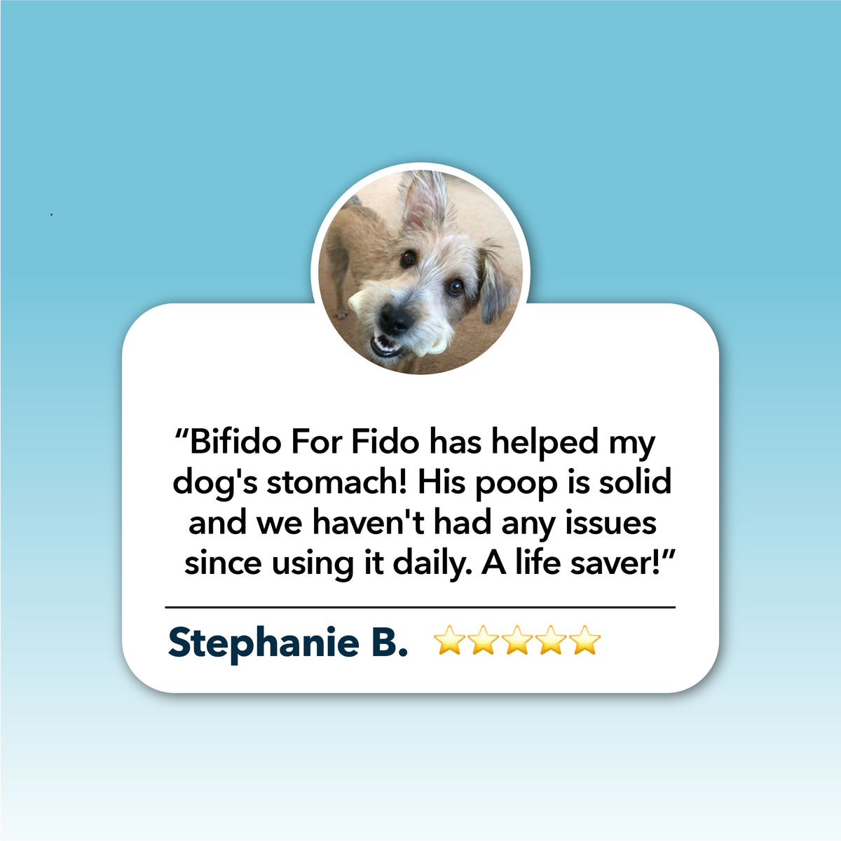 4LR Bifido for Fido - Probiotics for your BFF