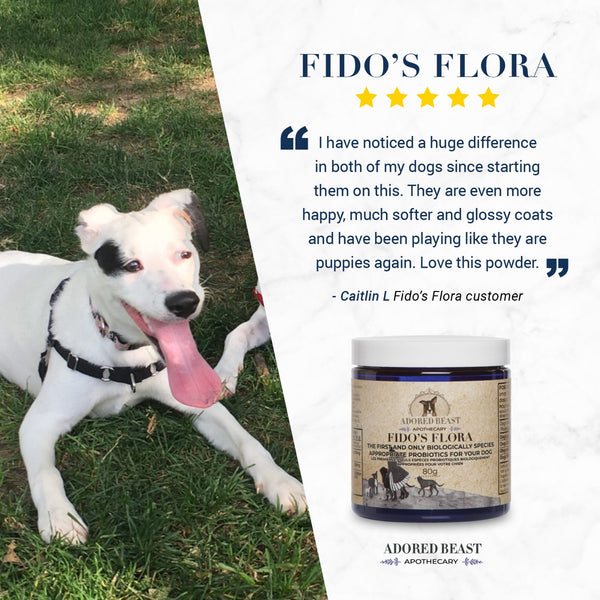 Adored Beast Fido's Flora Probiotics for Dogs 80g