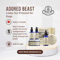 Adored Beast Leaky Gut Protocol for Dogs