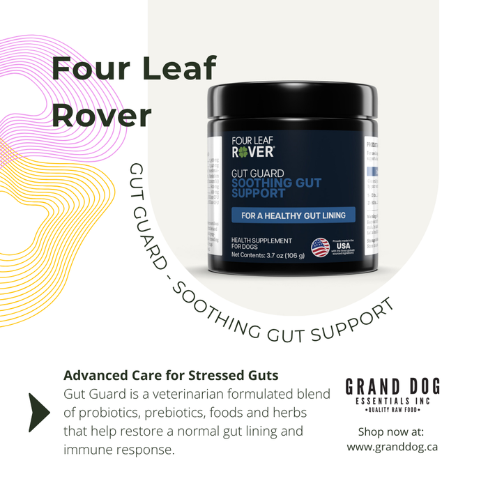 Four Leaf Rover gut health supplement container with branding and product description on a white background