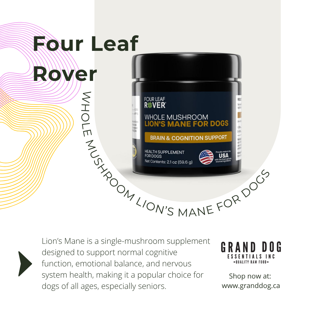 A product promotional graphic for Four Leaf Rover Whole Mushroom Lion's Mane for Dogs by Grand Dog Essentials Inc. The image features a black jar of the supplement centered on a white background with decorative curved lines and text detailing the product benefits.