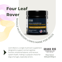 A product promotional graphic for Four Leaf Rover Whole Mushroom Lion's Mane for Dogs by Grand Dog Essentials Inc. The image features a black jar of the supplement centered on a white background with decorative curved lines and text detailing the product benefits.