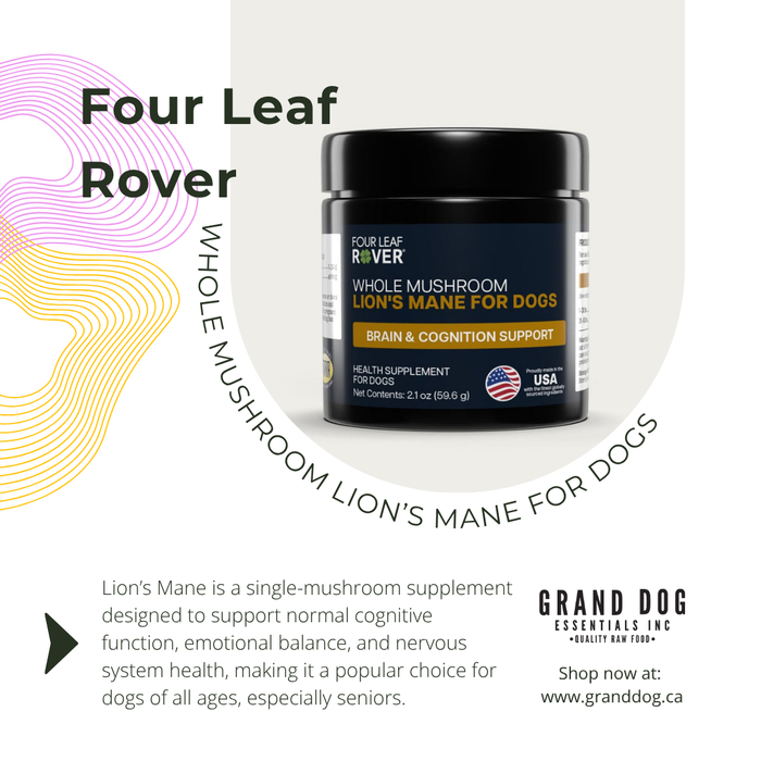 A product promotional graphic for Four Leaf Rover Whole Mushroom Lion's Mane for Dogs by Grand Dog Essentials Inc. The image features a black jar of the supplement centered on a white background with decorative curved lines and text detailing the product benefits.
