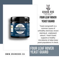 4LR Yeast Guard - Gentle Yeast Cleanse For Dogs