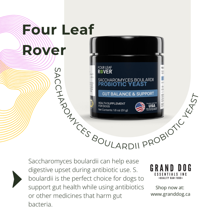 4LR Saccharomyces boulardii - Yeast Based Probiotics For Dogs