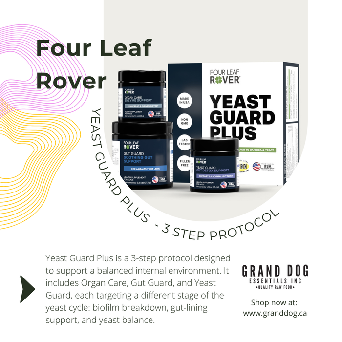 4LR Yeast Guard Plus - Yeast Support for Dogs