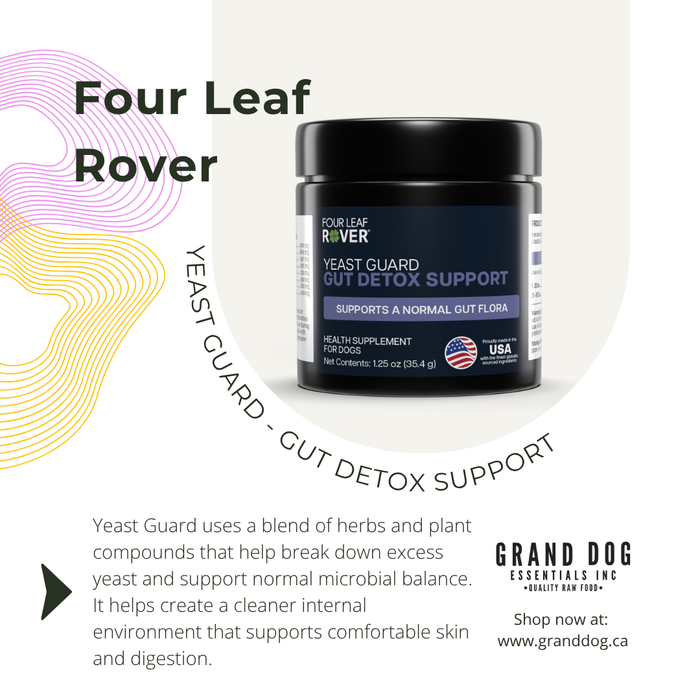 4LR Yeast Guard - Gentle Yeast Cleanse For Dogs