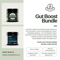 4LR BUNDLE: Gut Boost Bundle for Dogs