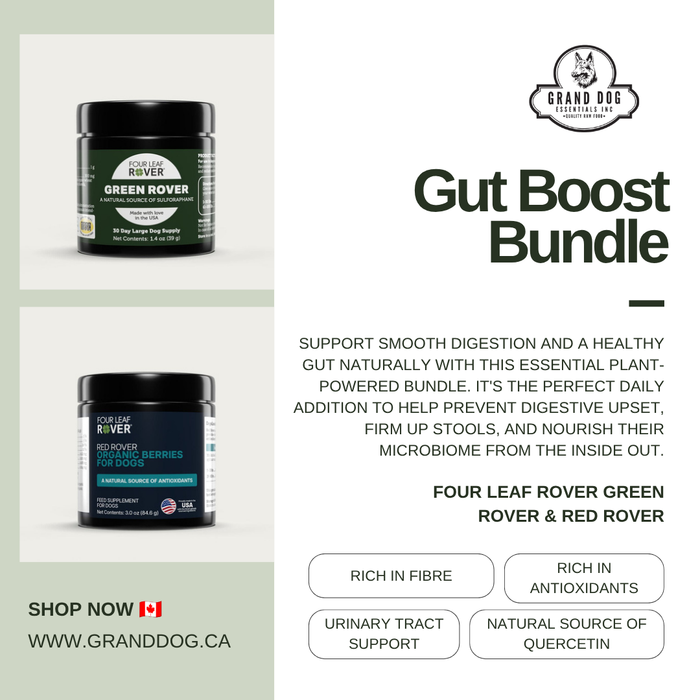 4LR BUNDLE: Gut Boost Bundle for Dogs