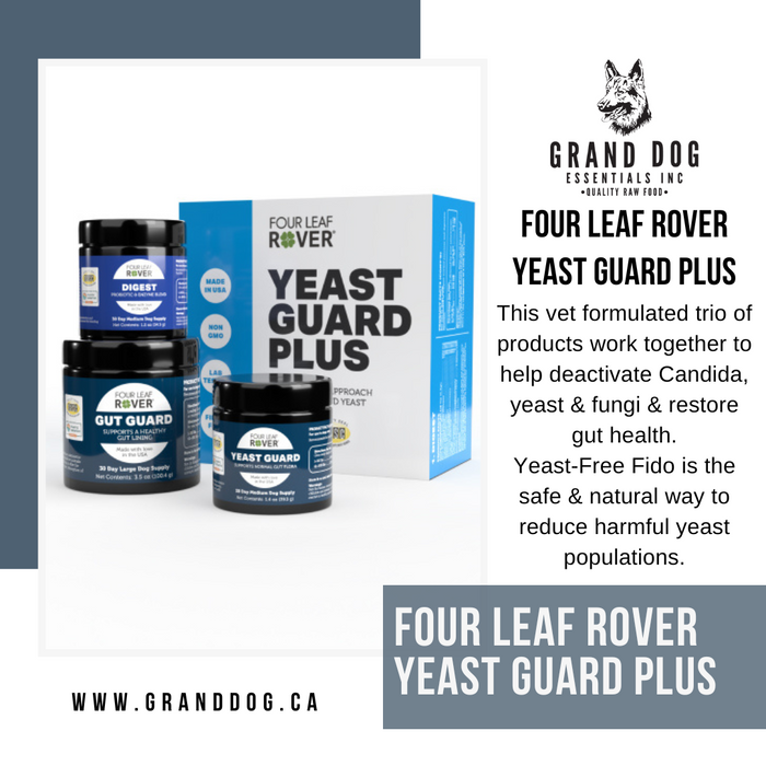 4LR Yeast Guard Plus - Yeast Support for Dogs