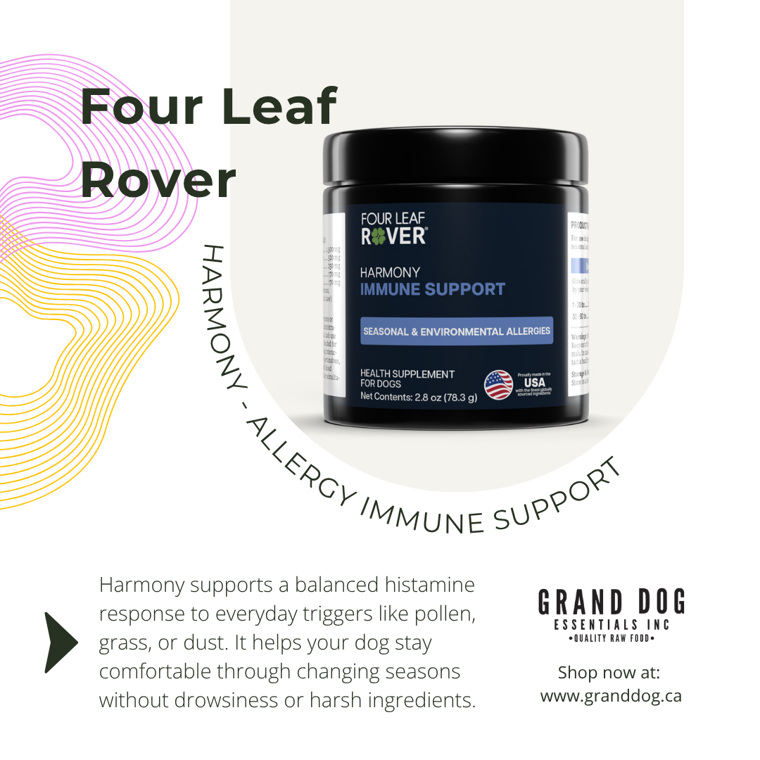 4LR Harmony - Seasonal Allergy Support for Dogs