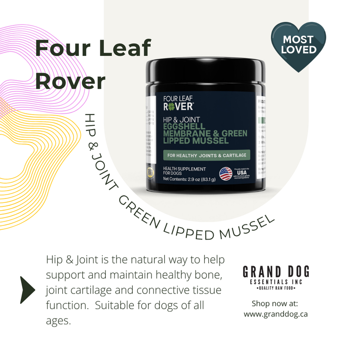 Four Leaf Rover hip and joint supplement for dogs with branding and product details.