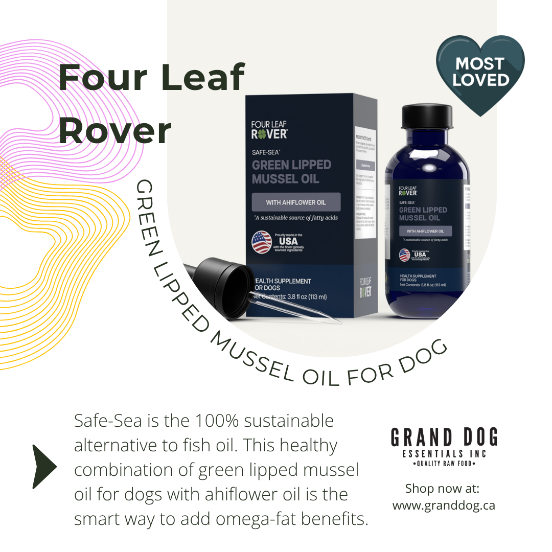 4LR Safe Sea Green Lipped Mussel Oil For Dogs