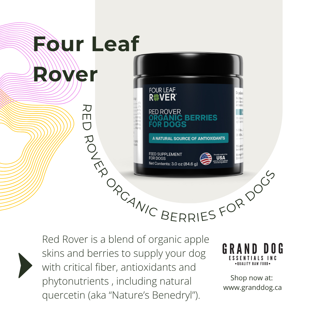 Four Leaf Rover organic berries for dogs packaging on a white background