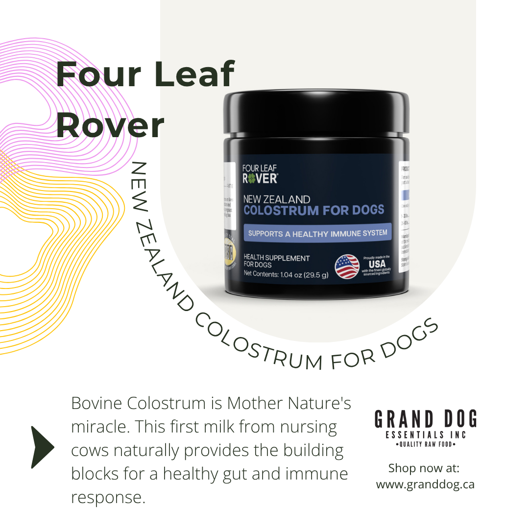 Four Leaf Rover New Zealand Colostrum for dogs packaging with text about benefits on a light gray background.