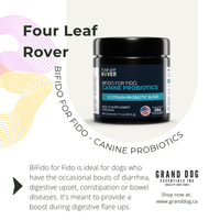 Four Leaf Rover canine probiotics jar with text about its uses for dogs on a light gray background.