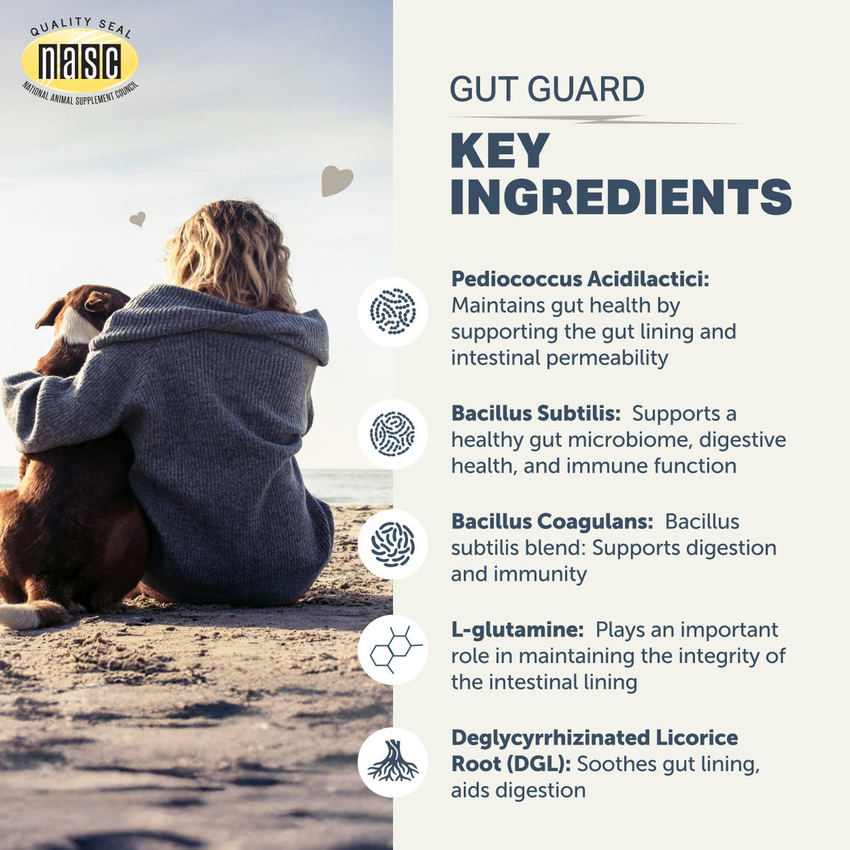 Person sitting on a beach with a dog, featuring NASIC Gut Guard supplement key ingredients on the right.