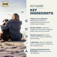 Person sitting on a beach with a dog, featuring NASIC Gut Guard supplement key ingredients on the right.