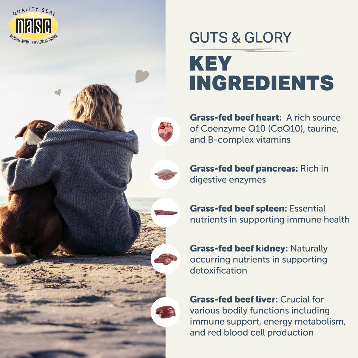 Person and dog sitting on a beach with NASC Guts & Glory supplement ingredients listed.