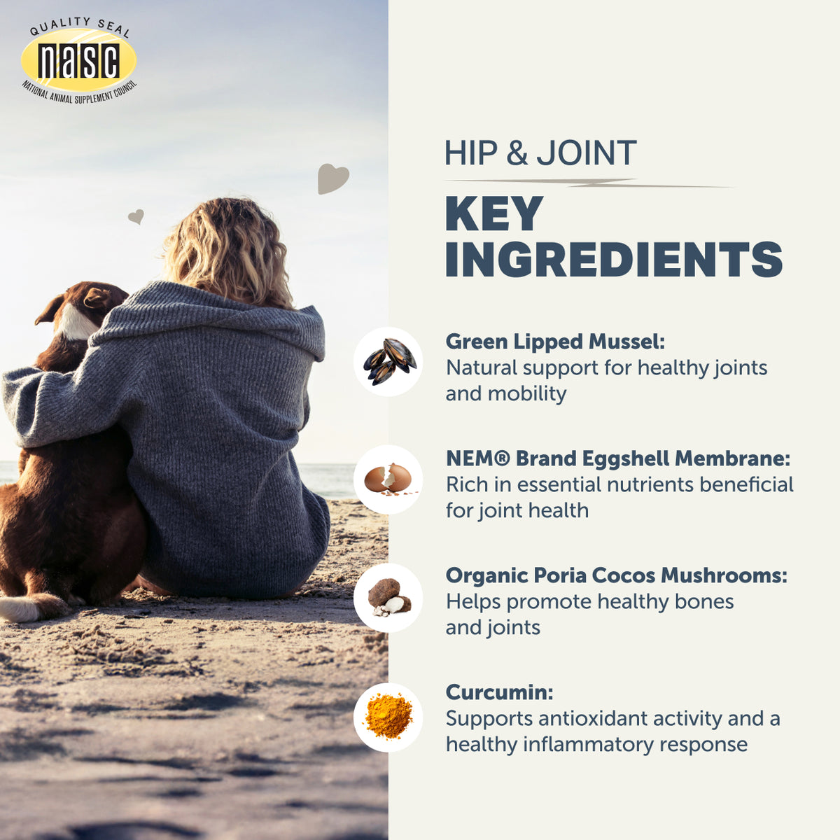 Person sitting on a beach with a dog, featuring NASIC supplement key ingredients for hip and joint health.