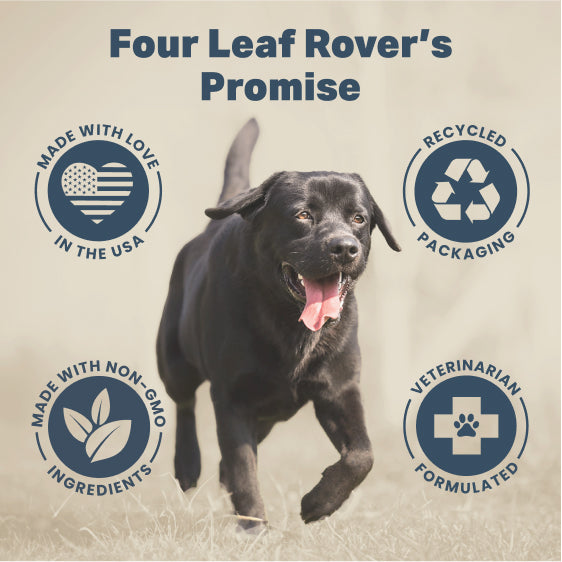 4LR Liver/Kidney Clean for Dogs