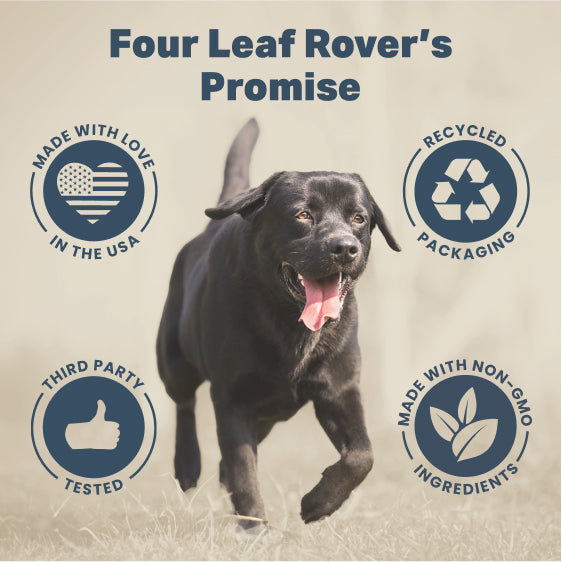 4LR Saccharomyces boulardii - Yeast Based Probiotics For Dogs