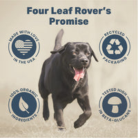 4LR Seven 'Shrooms - Organic Mushroom Mix for Dogs