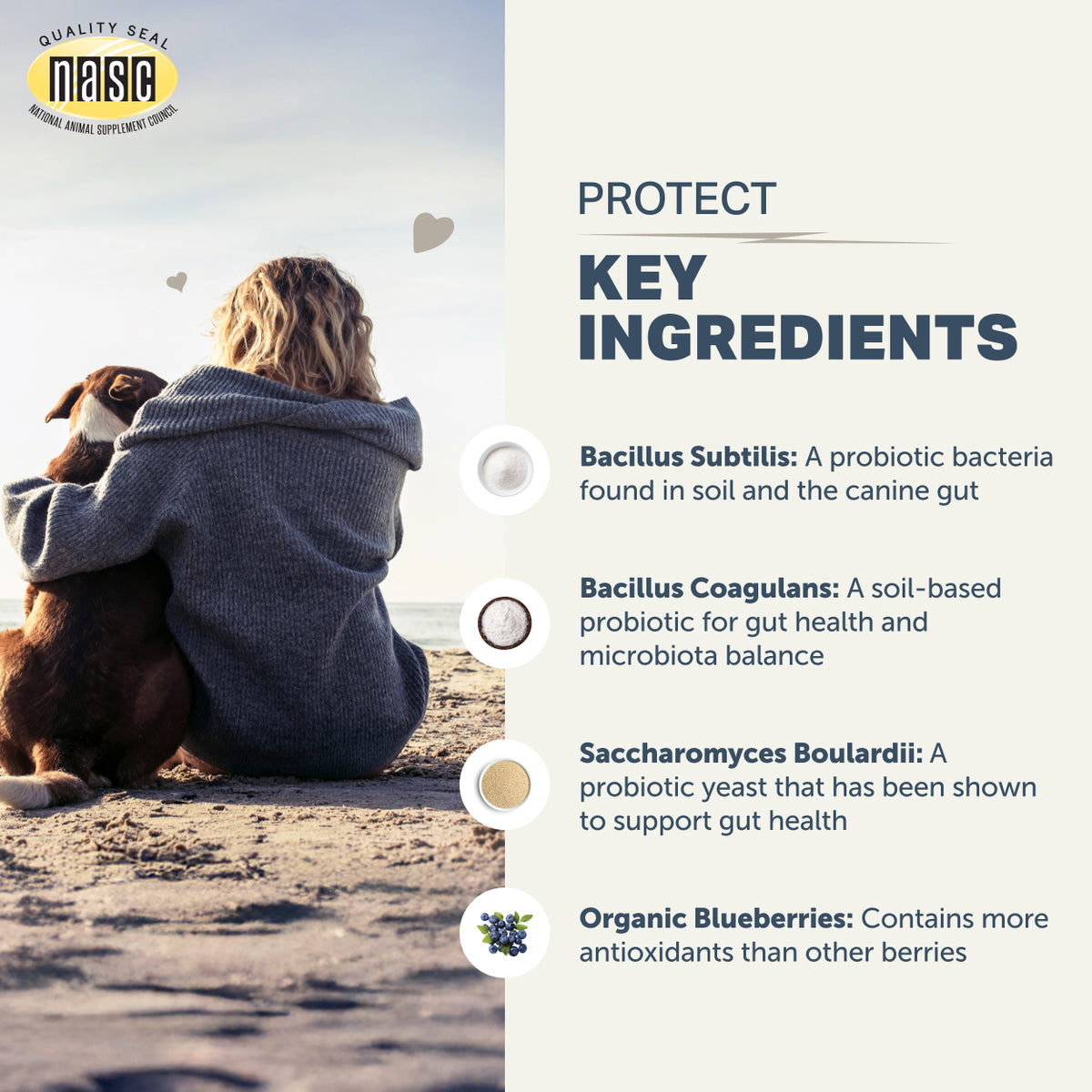 4LR Protect - Soil Based Probiotics