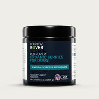 Four Leaf Rover organic berries for dogs supplement container on a light gray background