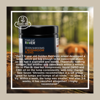 4LR Seven 'Shrooms - Organic Mushroom Mix for Dogs