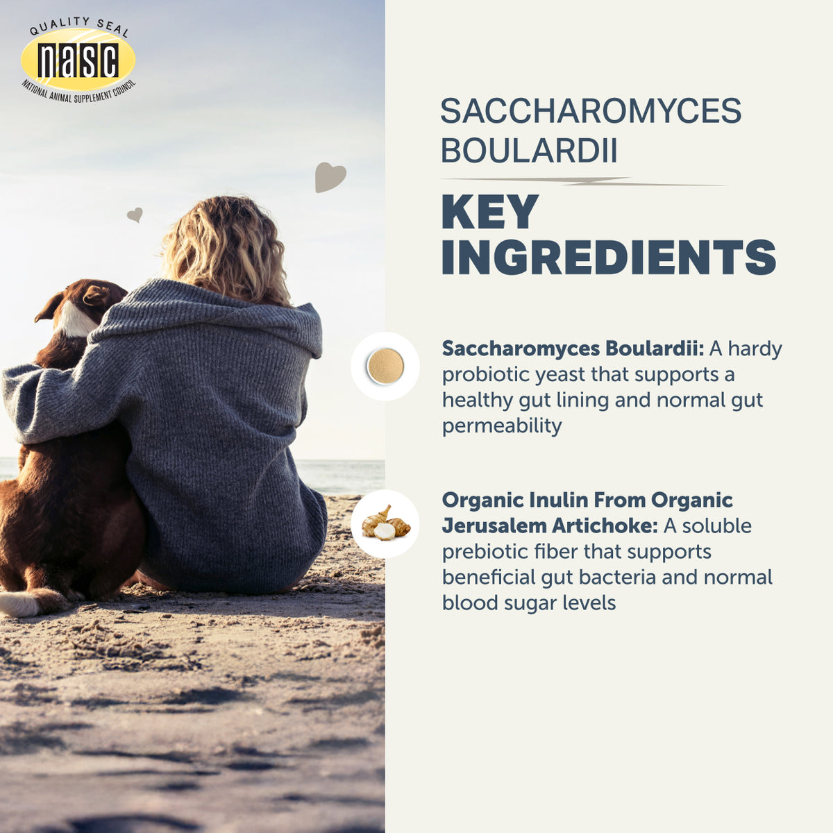 4LR Saccharomyces boulardii - Yeast Based Probiotics For Dogs