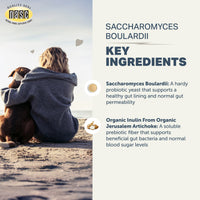 4LR Saccharomyces boulardii - Yeast Based Probiotics For Dogs